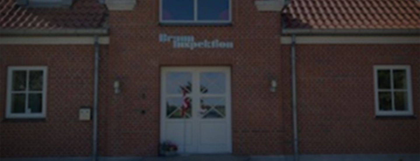 „Bruun Inspektion“ subūrė geriausių <br>ekspertų komandą šiose srityse: